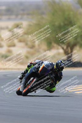 media/May-14-2023-SoCal Trackdays (Sun) [[024eb53b40]]/Turn 5 Tree of Life (1125am)/